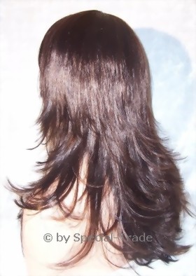 wig-4080-new-lauren-hinten-large.jpg