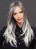 wig-high-tech-extra-long-grey-4186-front-large.jpg