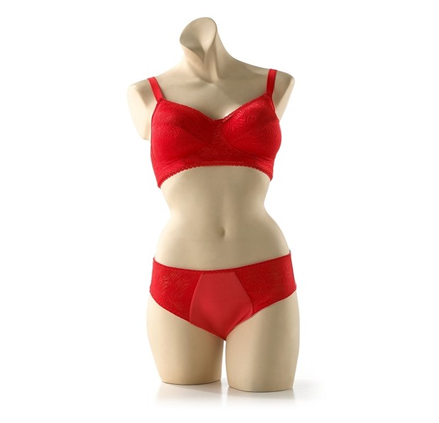 Amoluxury Partygirl red lingerie bra gaff frontview