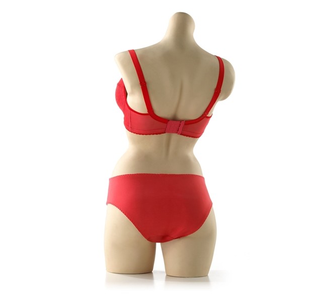 Amoluxury Partygirl red lingerie bra gaff rearview