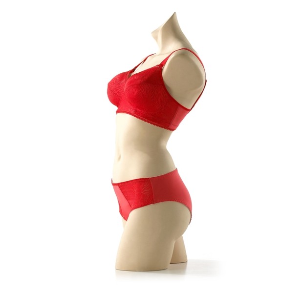 Amoluxury Partygirl red lingerie bra gaff sideview