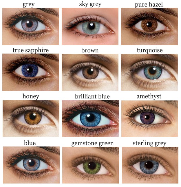 contact-lenses-anual.jpg contact-lenses-anual.jpg