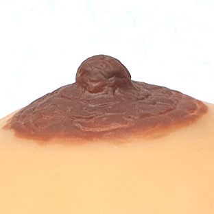 natural-dream-nipples-2-2023.jpg natural-dream-nipples-2-2023.jpg