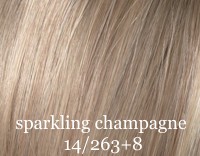 sparkling-champagne-14-263_8.jpg