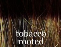 story-lace-tobacco-rooted-5745.jpg