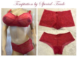 temptation-lingerie-300.jpg