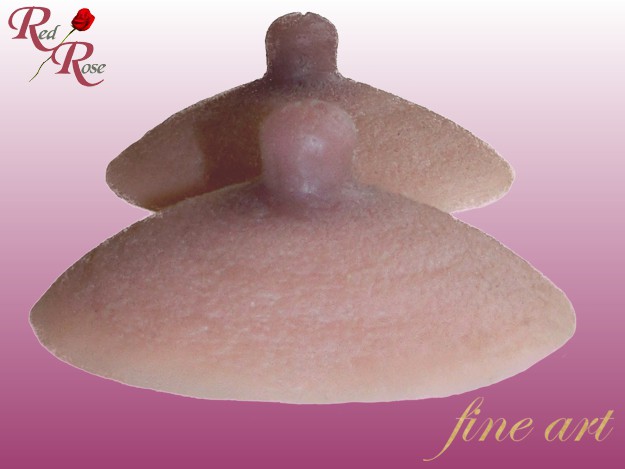 very-realistic-nipples-teats-extra-long-nipples-822-1.jpg