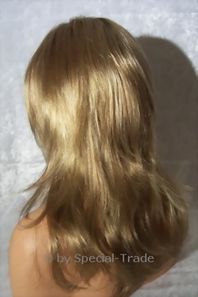 wig-4040-powerb-hinten-large.jpg